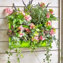 The Lakeside Collection Double Wall Planter For Vertical Gardens, Living Walls - Indoor/Outdoor -The Collective Goods GUEST 1f345b56 c7b3 426a baaa d8ee9faea402