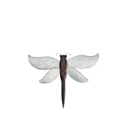 The Lakeside Collection Galvanized Wall Decor -The Collective Goods GUEST 3f02c972 678f 464c 8efa 68e6c209f2e9