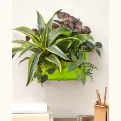 The Lakeside Collection Double Wall Planter For Vertical Gardens, Living Walls - Indoor/Outdoor -The Collective Goods GUEST a52c928f 255d 4cb6 b2c8 ee27ba90f49f