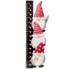 The Lakeside Collection Lighted Christmas Gnome Snow Gauge -The Collective Goods GUEST cf627773 bf7c 4756 9178 ae0320aa8d37